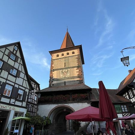 Coucou - Nest Im Schwarzwald Leilighet Gengenbach Eksteriør bilde