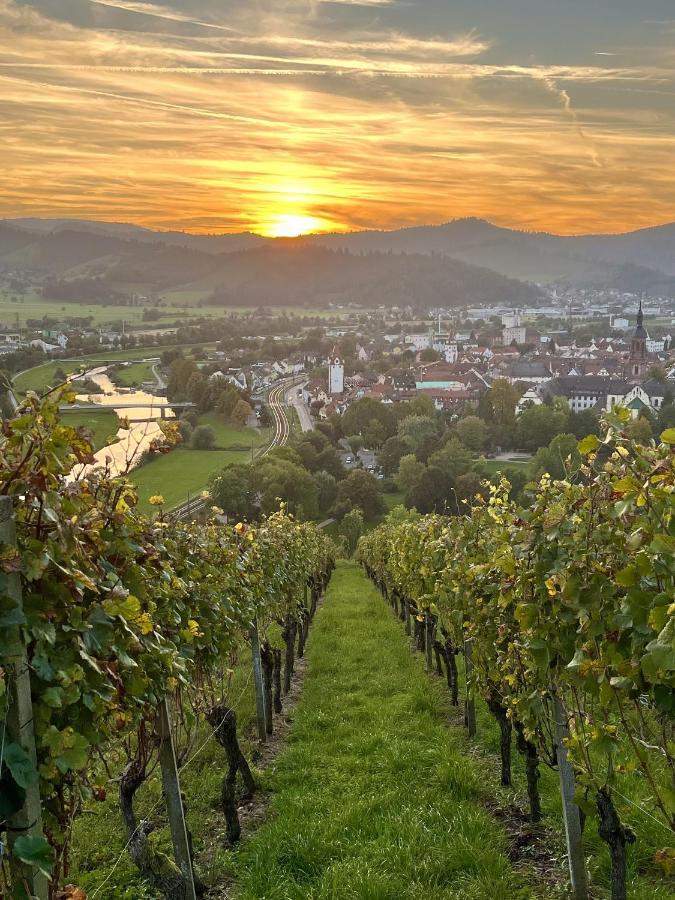 Coucou - Nest Im Schwarzwald Leilighet Gengenbach Eksteriør bilde