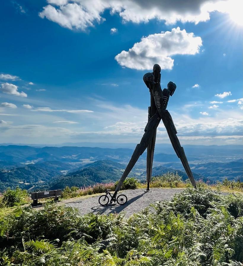 Coucou - Nest Im Schwarzwald Leilighet Gengenbach Eksteriør bilde